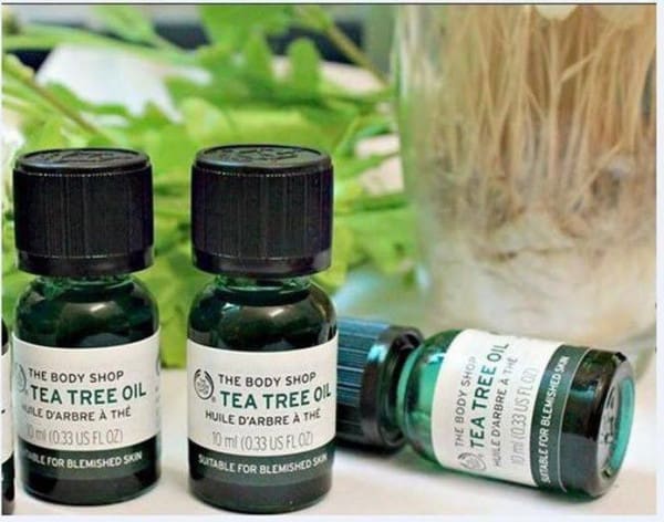Tea Tree Oil Trị Mụn